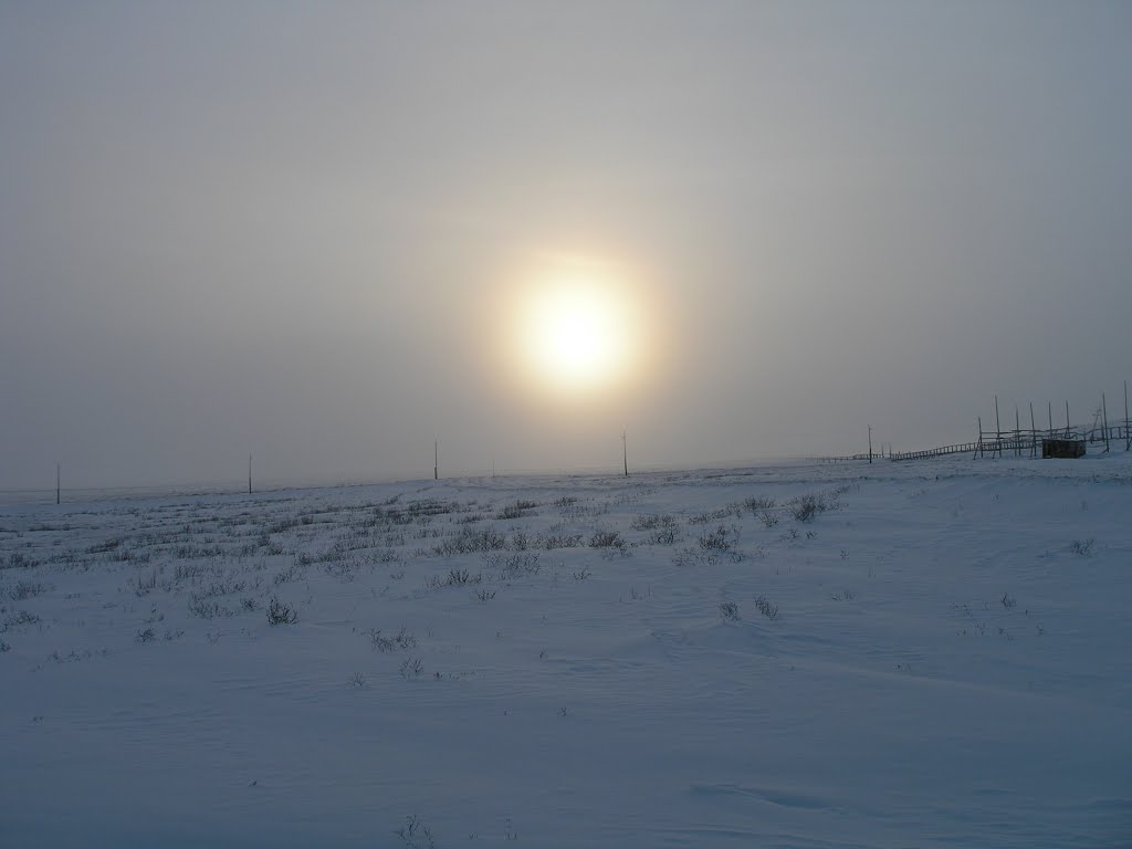 Power transmission line against snow background, Norilsk Vega MS